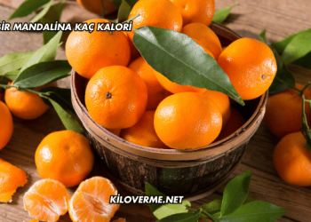 Bir Mandalina Kaç Kalori