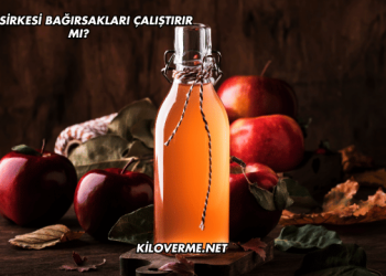 Elma Sirkesi Bağırsakları Çalıştırır mı?