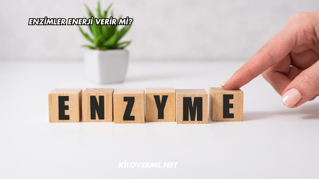 Enzimler Enerji Verir mi?