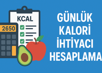 Günlük Kalori İhtiyacı Hesaplama