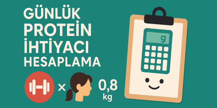 Günlük Protein İhtiyacı Hesaplama