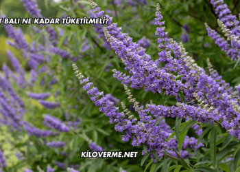 Hayıt Balı Ne Kadar Tüketilmeli?