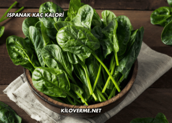 Ispanak Kaç Kalori