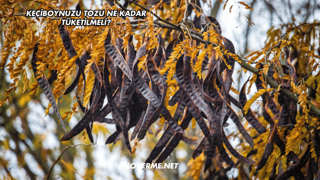 Keçiboynuzu Tozu Ne Kadar Tüketilmeli?