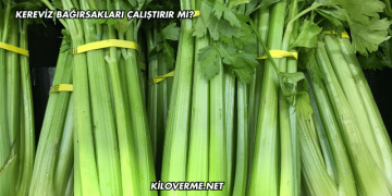Kereviz Bağırsakları Çalıştırır mı?