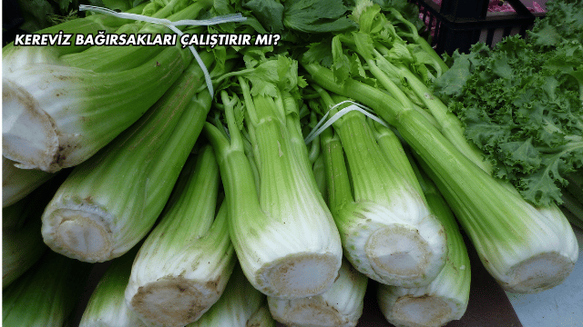 Kereviz Bağırsakları Çalıştırır mı?