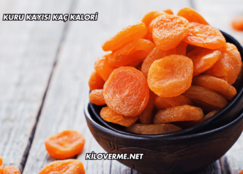 Kuru Kayısı Kaç Kalori