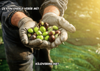 Zeytin Enerji Verir mi?