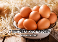 6 Yumurta Kaç Kalori