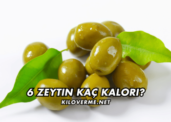 6 Zeytin Kaç Kalori