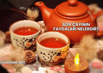 Ada Çayının Faydaları Nelerdir?