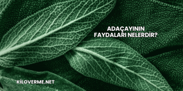 Adaçayının Faydaları Nelerdir?