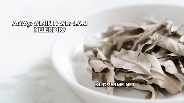 Adaçayının Faydaları Nelerdir?