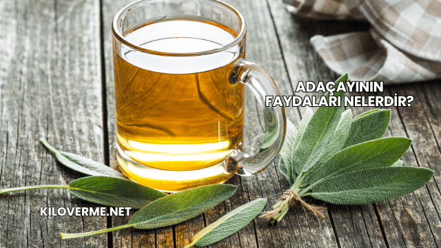 Adaçayının Faydaları Nelerdir?