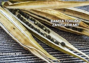 Bamya Tohumu Zayıflatır mı?