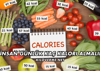 Bir İnsan Günlük Kaç Kalori Almalıdır