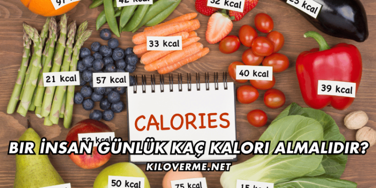 Bir İnsan Günlük Kaç Kalori Almalıdır