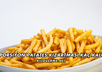 Bir Porsiyon Patates Kızartması Kaç Kalori