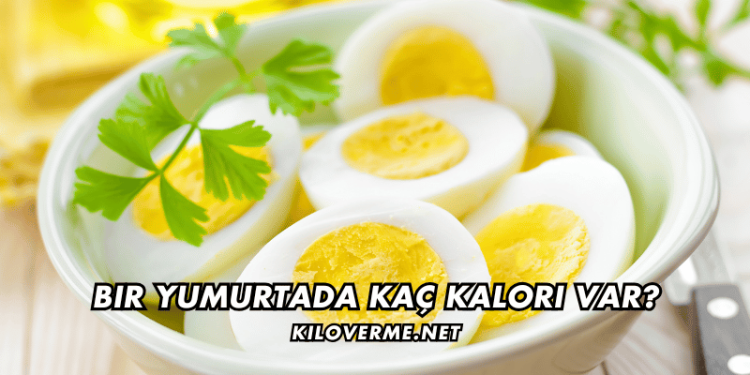Bir Yumurtada Kaç Kalori Var