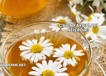 Çayın Faydaları Nelerdir?