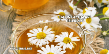 Çayın Faydaları Nelerdir?