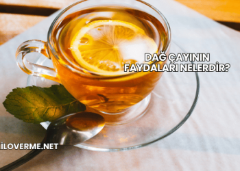 Dağ Çayının Faydaları Nelerdir?