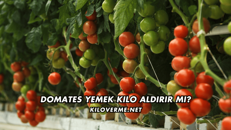 Domates Yemek Kilo Aldırır mı