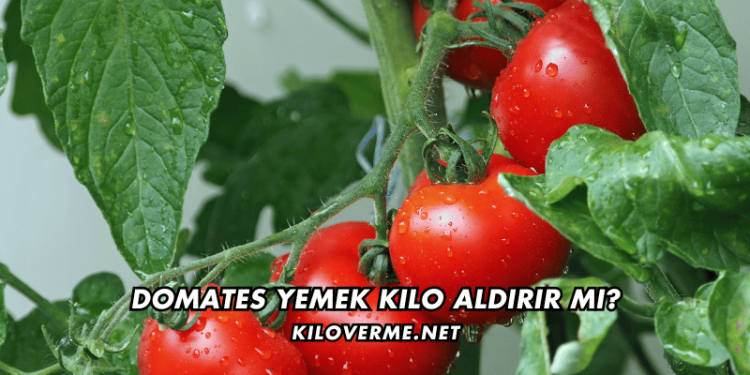 Domates Yemek Kilo Aldırır mı