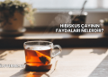 Hibiskus Çayının Faydaları Nelerdir?