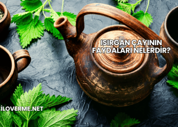 Isırgan Çayının Faydaları Nelerdir?
