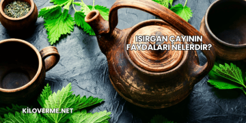 Isırgan Çayının Faydaları Nelerdir?