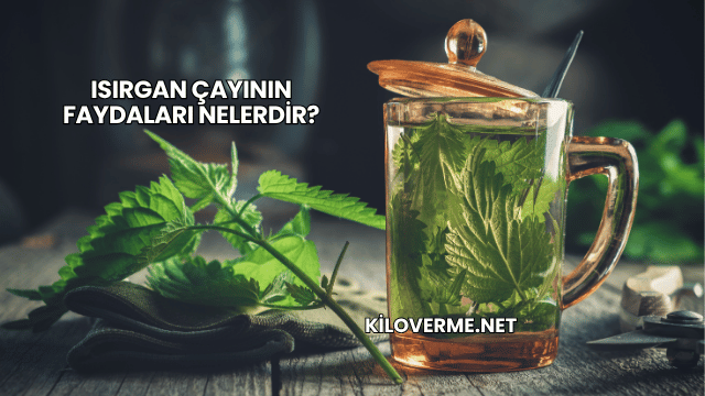 Isırgan Çayının Faydaları Nelerdir?