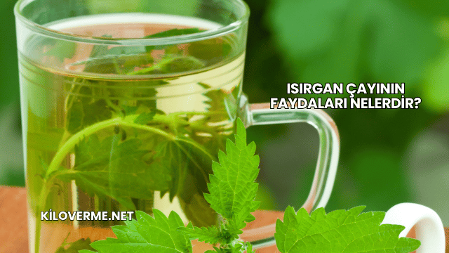 Isırgan Çayının Faydaları Nelerdir?