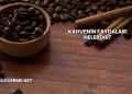 Kahvenin Faydaları Nelerdir?