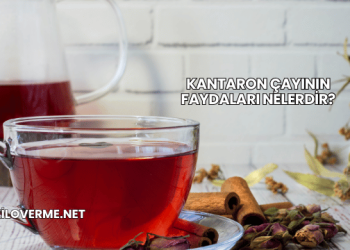 Kantaron Çayının Faydaları Nelerdir?