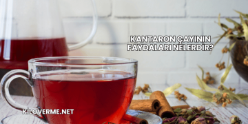 Kantaron Çayının Faydaları Nelerdir?