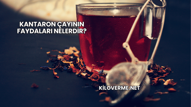 Kantaron Çayının Faydaları Nelerdir?