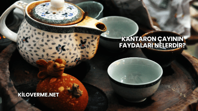 Kantaron Çayının Faydaları Nelerdir?