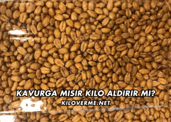 Kavurga Mısır Kilo Aldırır mı
