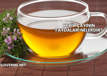 Kekik Çayının Faydaları Nelerdir?