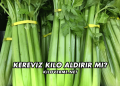 Kereviz Kilo Aldırır mı