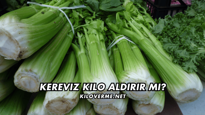 Kereviz Kilo Aldırır mı