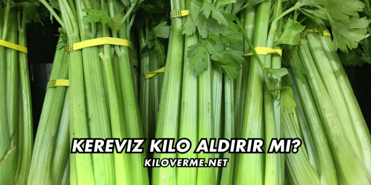 Kereviz Kilo Aldırır mı