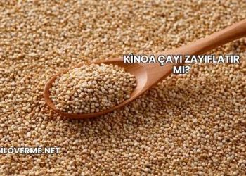 Kinoa Çayı Zayıflatır mı?