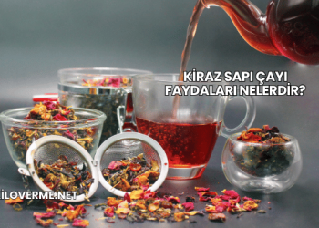 Kiraz Sapı Çayı Faydaları Nelerdir?