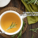 Kombu Çayının Zararları Nelerdir?