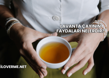 Lavanta Çayının Faydaları Nelerdir?