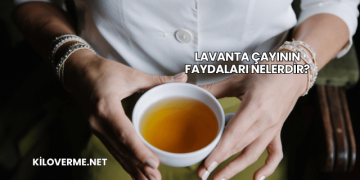 Lavanta Çayının Faydaları Nelerdir?