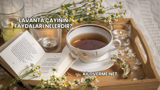 Lavanta Çayının Faydaları Nelerdir?