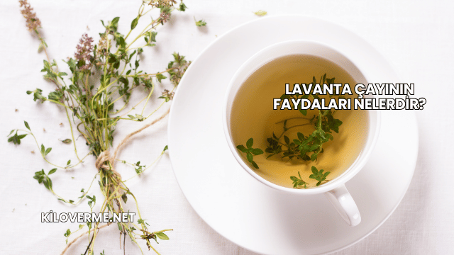 Lavanta Çayının Faydaları Nelerdir?